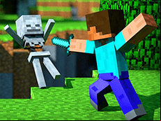 Block Craft