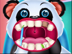 Wild Animal Hospital Vet Doctor